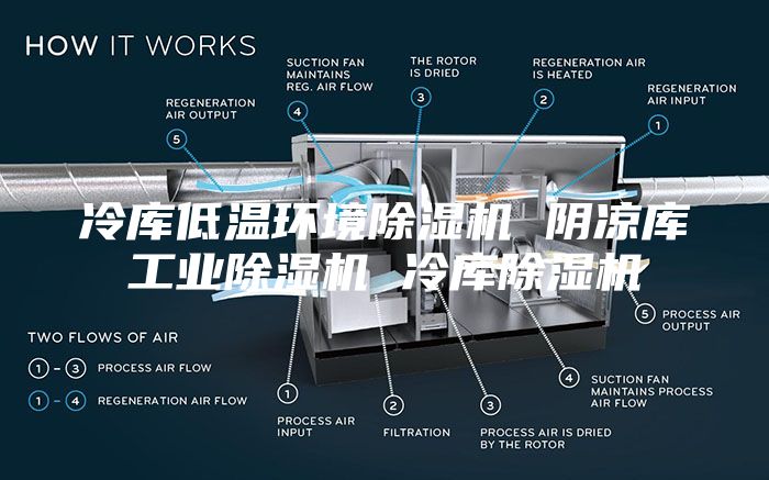 冷库低温环境除湿机 阴凉库工业除湿机 冷库除湿机