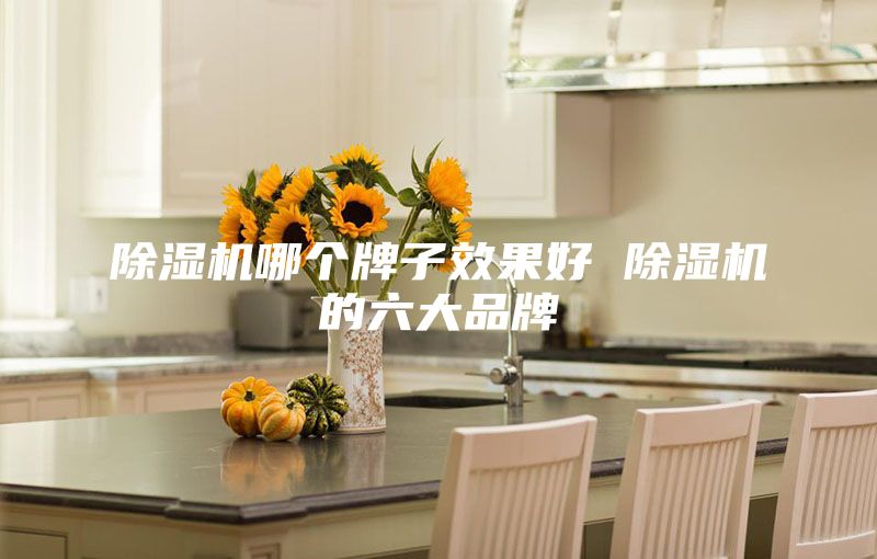 除湿机哪个牌子效果好 除湿机的六大品牌