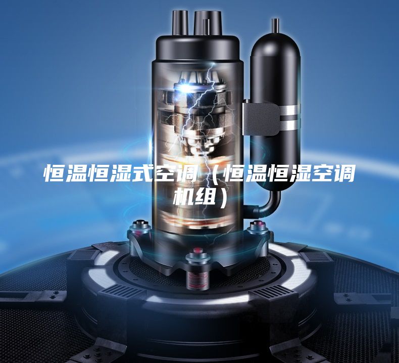 恒温恒湿式空调（恒温恒湿空调机组）