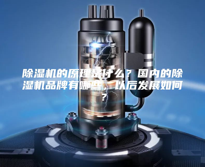 除湿机的原理是什么？国内的除湿机品牌有哪些，以后发展如何？