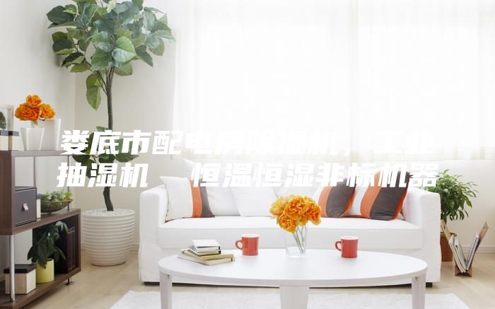 娄底市配电房除湿机，工业抽湿机  恒温恒湿非标机器
