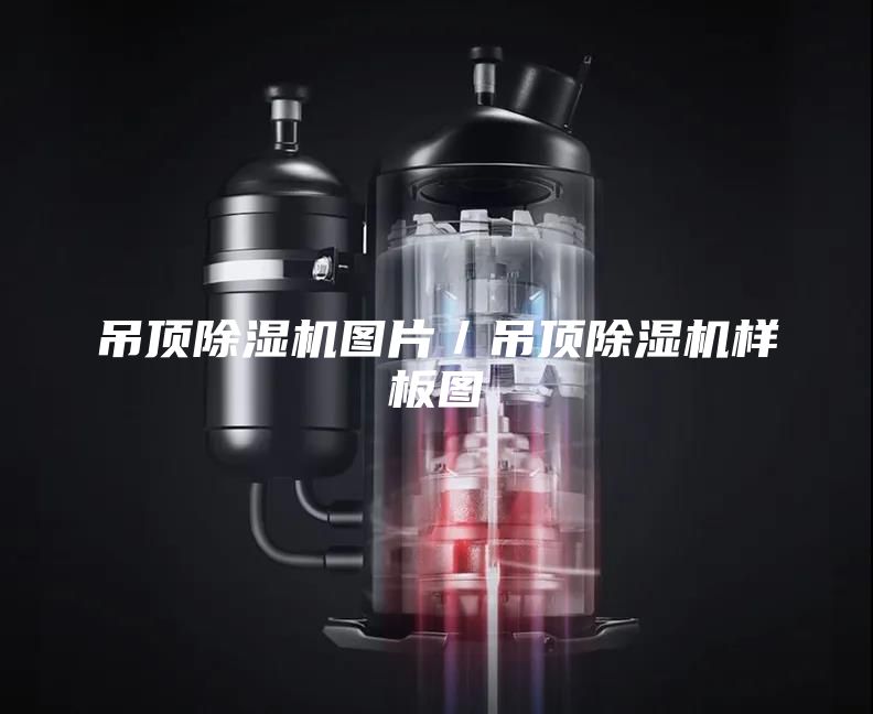 吊顶除湿机图片／吊顶除湿机样板图