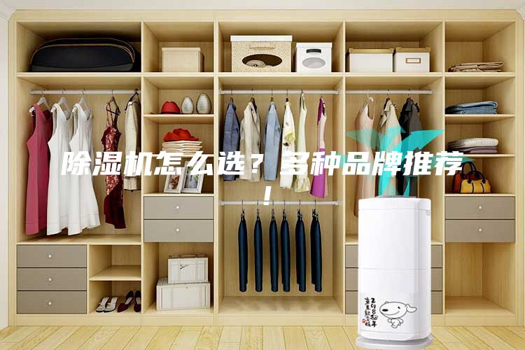 除湿机怎么选？多种品牌推荐！