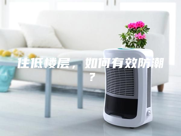 住低楼层，如何有效防潮？