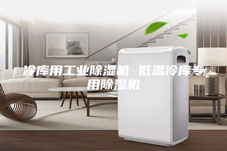 冷库用工业除湿机 低温冷库专用除湿机