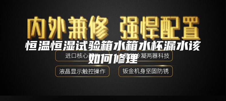 恒温恒湿试验箱水箱水杯漏水该如何修理