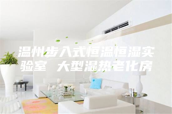 温州步入式恒温恒湿实验室 大型湿热老化房