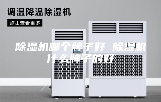 除湿机哪个牌子好 除湿机什么牌子的好