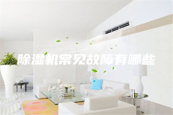 除湿机常见故障有哪些