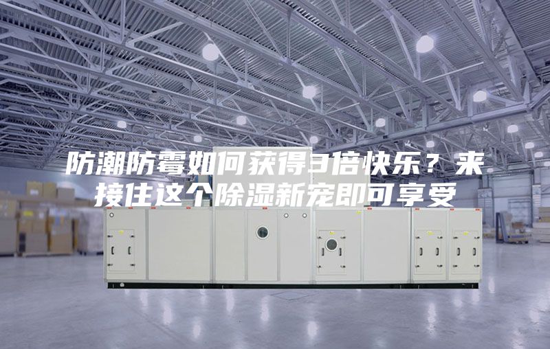 防潮防霉如何获得3倍快乐？来接住这个除湿新宠即可享受