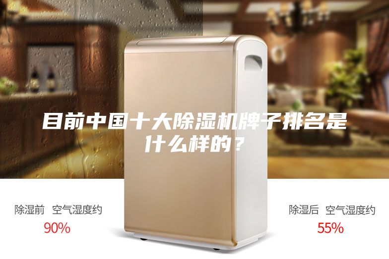 目前中国十大除湿机牌子排名是什么样的？