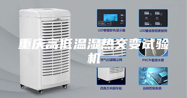 重庆高低温湿热交变试验机