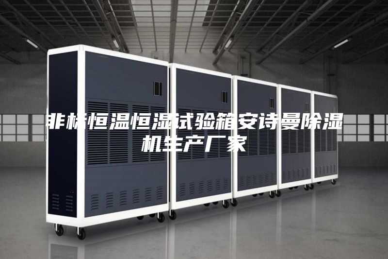 非标恒温恒湿试验箱安诗曼除湿机生产厂家