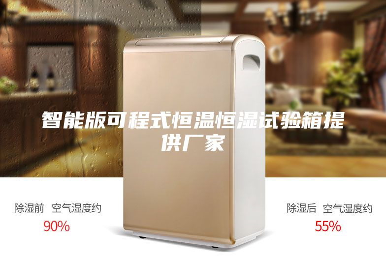 智能版可程式恒温恒湿试验箱提供厂家