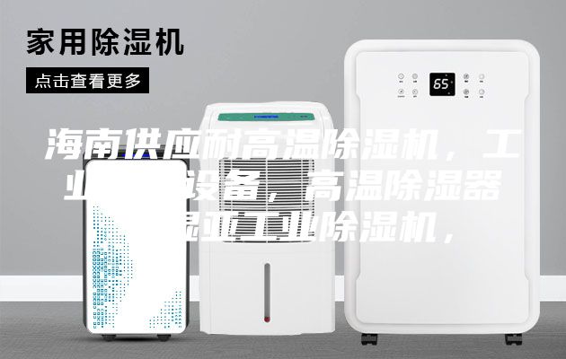 海南供应耐高温除湿机，工业除湿设备，高温除湿器，湿亚工业除湿机，