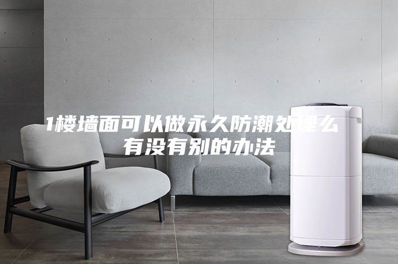 1楼墙面可以做永久防潮处理么 有没有别的办法