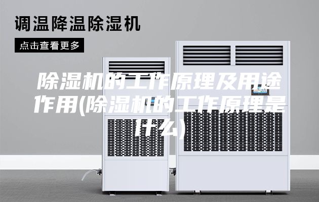 除湿机的工作原理及用途作用(除湿机的工作原理是什么)