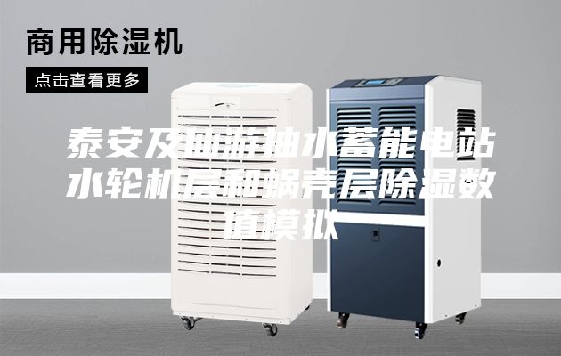 泰安及仙游抽水蓄能电站水轮机层和蜗壳层除湿数值模拟