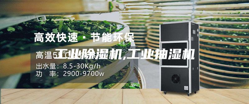 工业除湿机,工业抽湿机