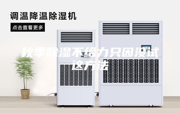 秋季除湿不给力只因没试这方法