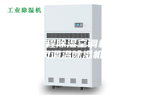 人防工程除湿空调机组新风调温除湿机
