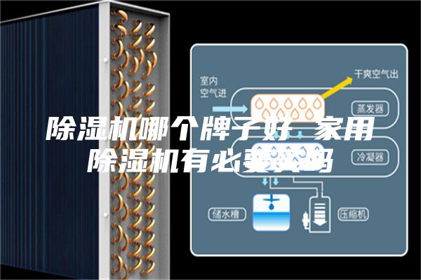除湿机哪个牌子好 家用除湿机有必要买吗