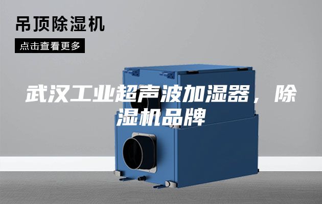 武汉工业超声波加湿器，除湿机品牌