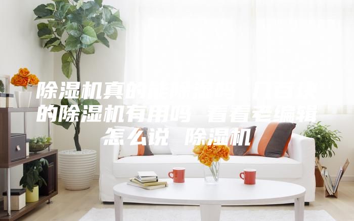 除湿机真的能除湿吗 几百块的除湿机有用吗 看看老编辑怎么说 除湿机