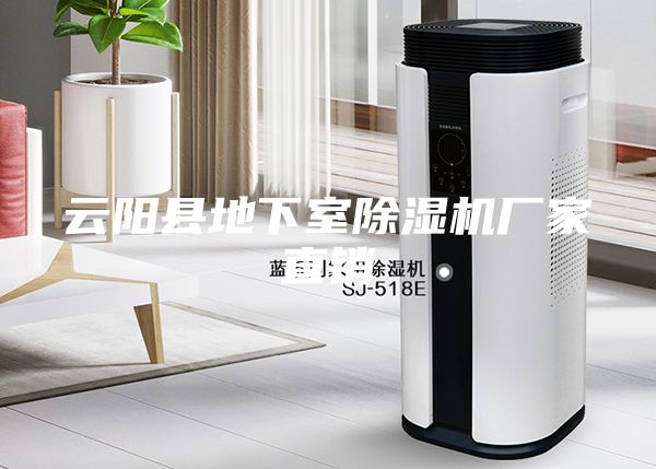 云阳县地下室除湿机厂家直销