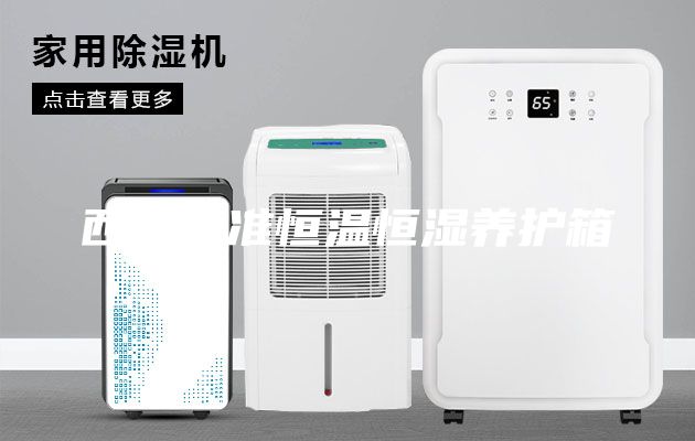 西安标准恒温恒湿养护箱