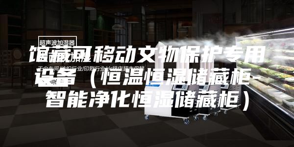 馆藏可移动文物保护专用设备（恒温恒湿储藏柜-智能净化恒湿储藏柜）