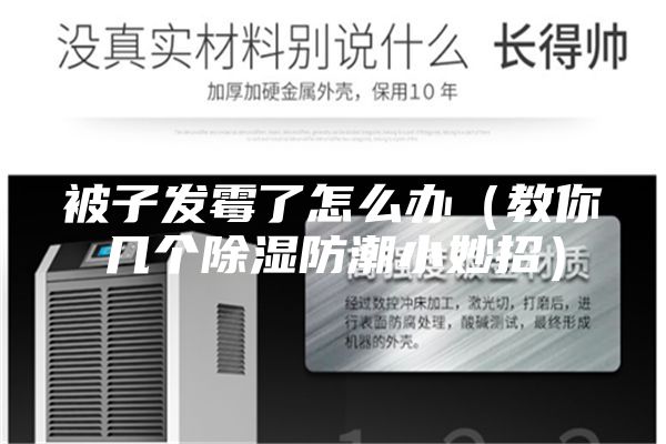 被子发霉了怎么办（教你几个除湿防潮小妙招）