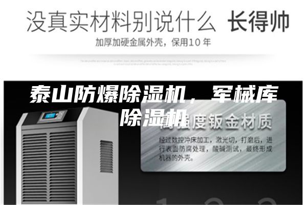 泰山防爆除湿机，军械库除湿机