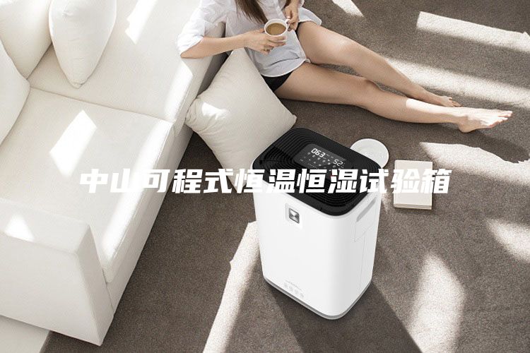 中山可程式恒温恒湿试验箱