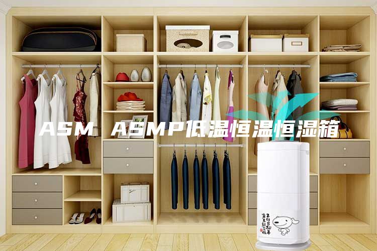 ASM ASMP低温恒温恒湿箱