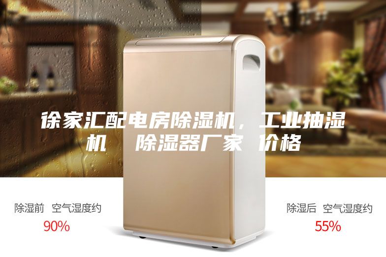徐家汇配电房除湿机，工业抽湿机  除湿器厂家 价格