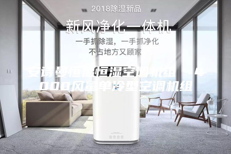 安诗曼恒温恒湿空调机组  4000风量单冷型空调机组