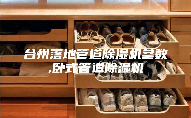 台州落地管道除湿机参数,卧式管道除湿机