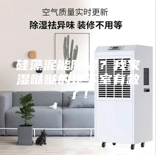 硅藻泥能除湿？我家湿哒哒的地下室有救了！
