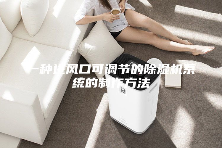 一种进风口可调节的除湿机系统的制作方法