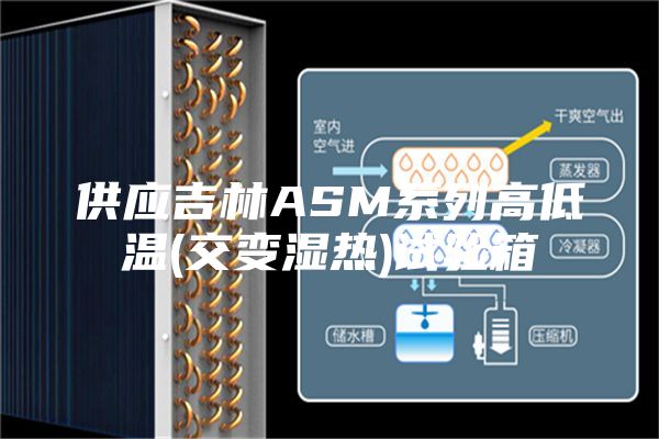 供应吉林ASM系列高低温(交变湿热)试验箱