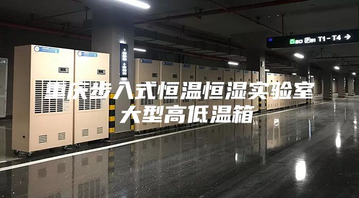 重庆步入式恒温恒湿实验室 大型高低温箱