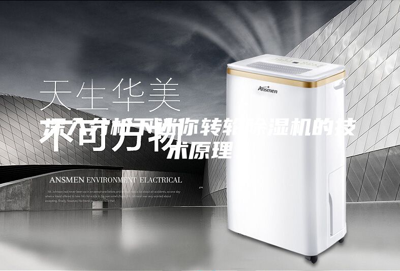 深入分析下迷你转轮除湿机的技术原理