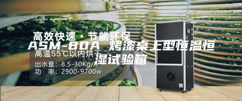 ASM-80A 烤漆桌上型恒温恒湿试验箱