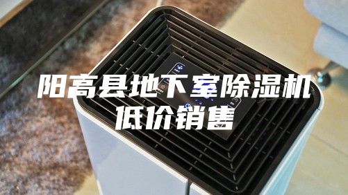 阳高县地下室除湿机低价销售
