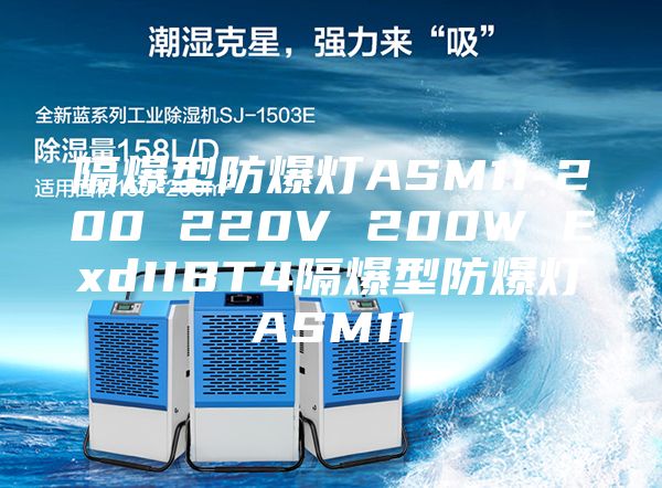隔爆型防爆灯ASM11-200 220V 200W ExdIIBT4隔爆型防爆灯ASM11
