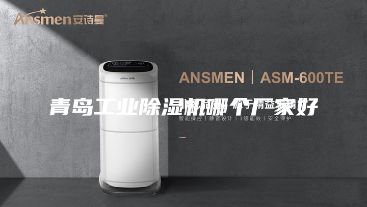 青岛工业除湿机哪个厂家好