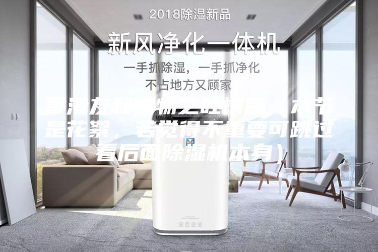 香港友和购物之吐槽篇（本节是花絮，若觉得不重要可跳过看后面除湿机本身）