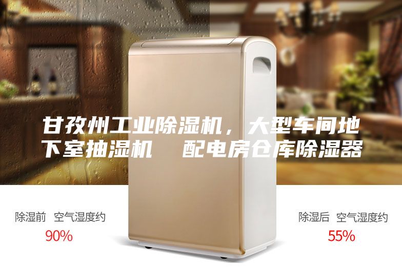 甘孜州工业除湿机，大型车间地下室抽湿机  配电房仓库除湿器