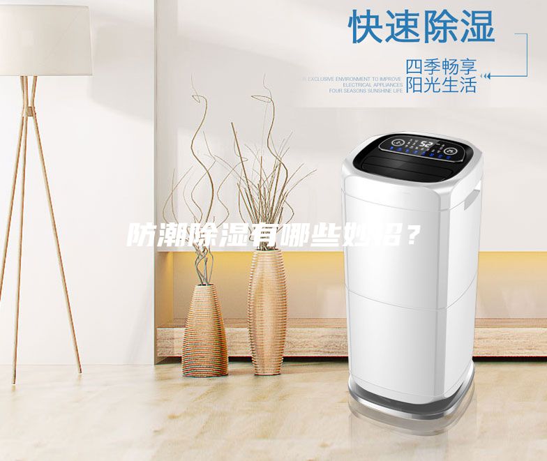 防潮除湿有哪些妙招？